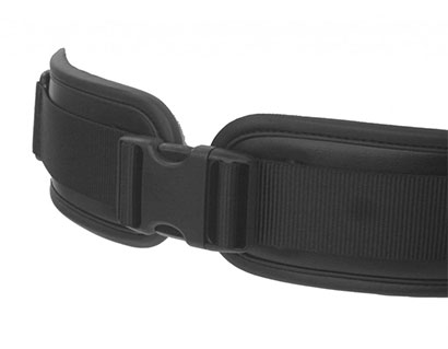 photo of harness detail