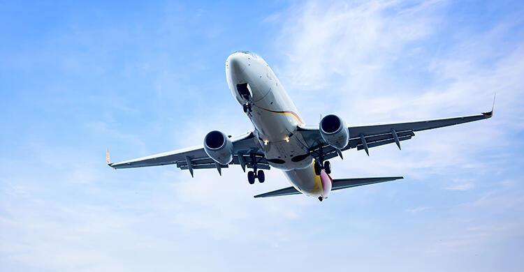 Under side of a plane, flying in the air